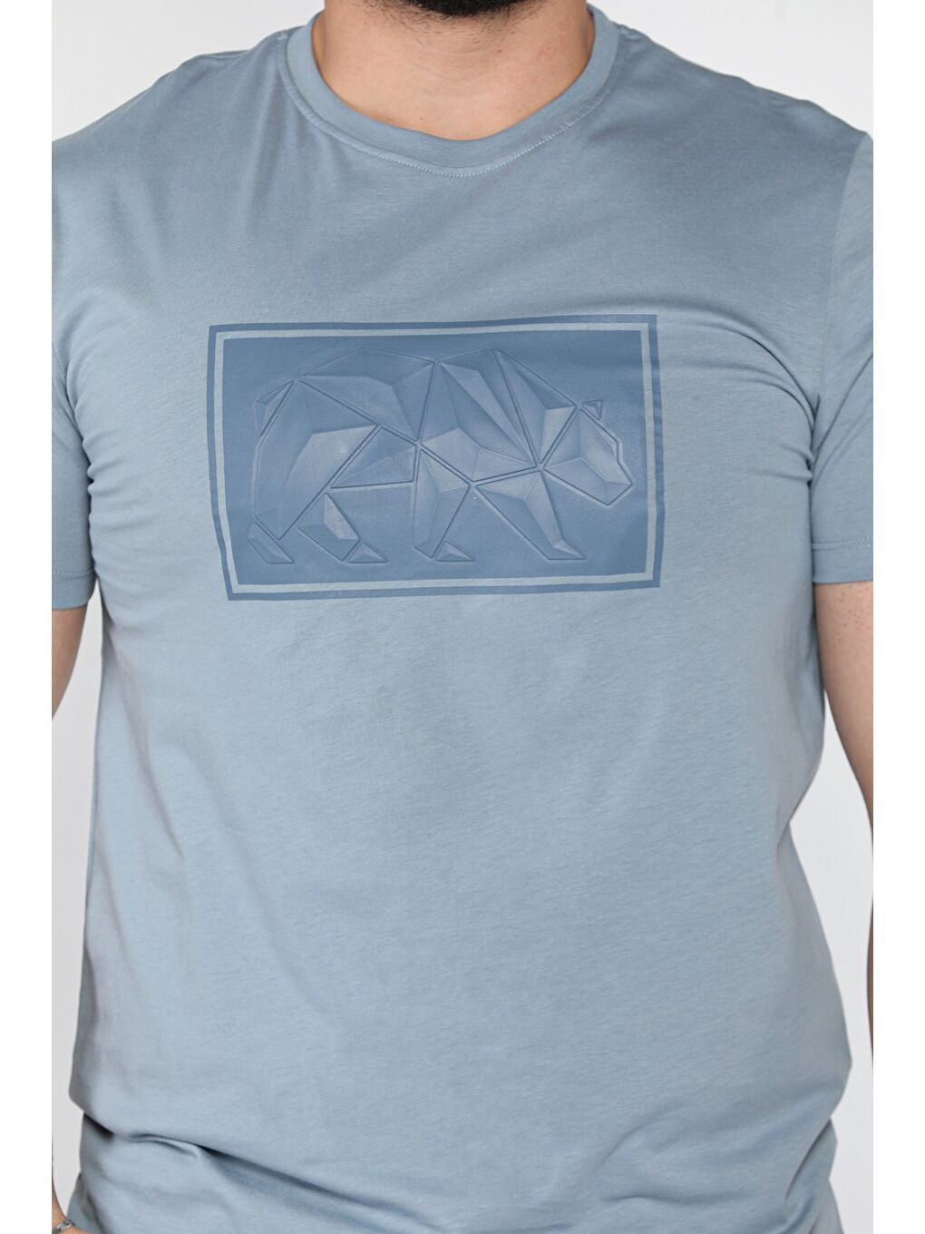 Mavi Erkek Bisiklet Yaka Baskılı Tişört-2