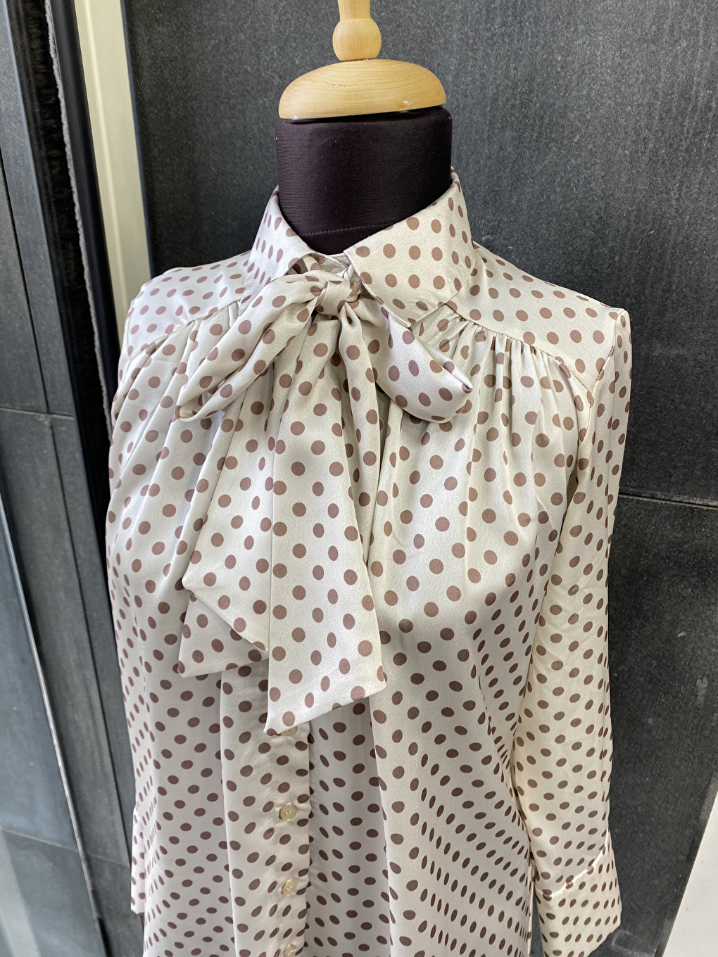 Kahverengi Puantiye Desenki Paris Fularlı Gömlek-3