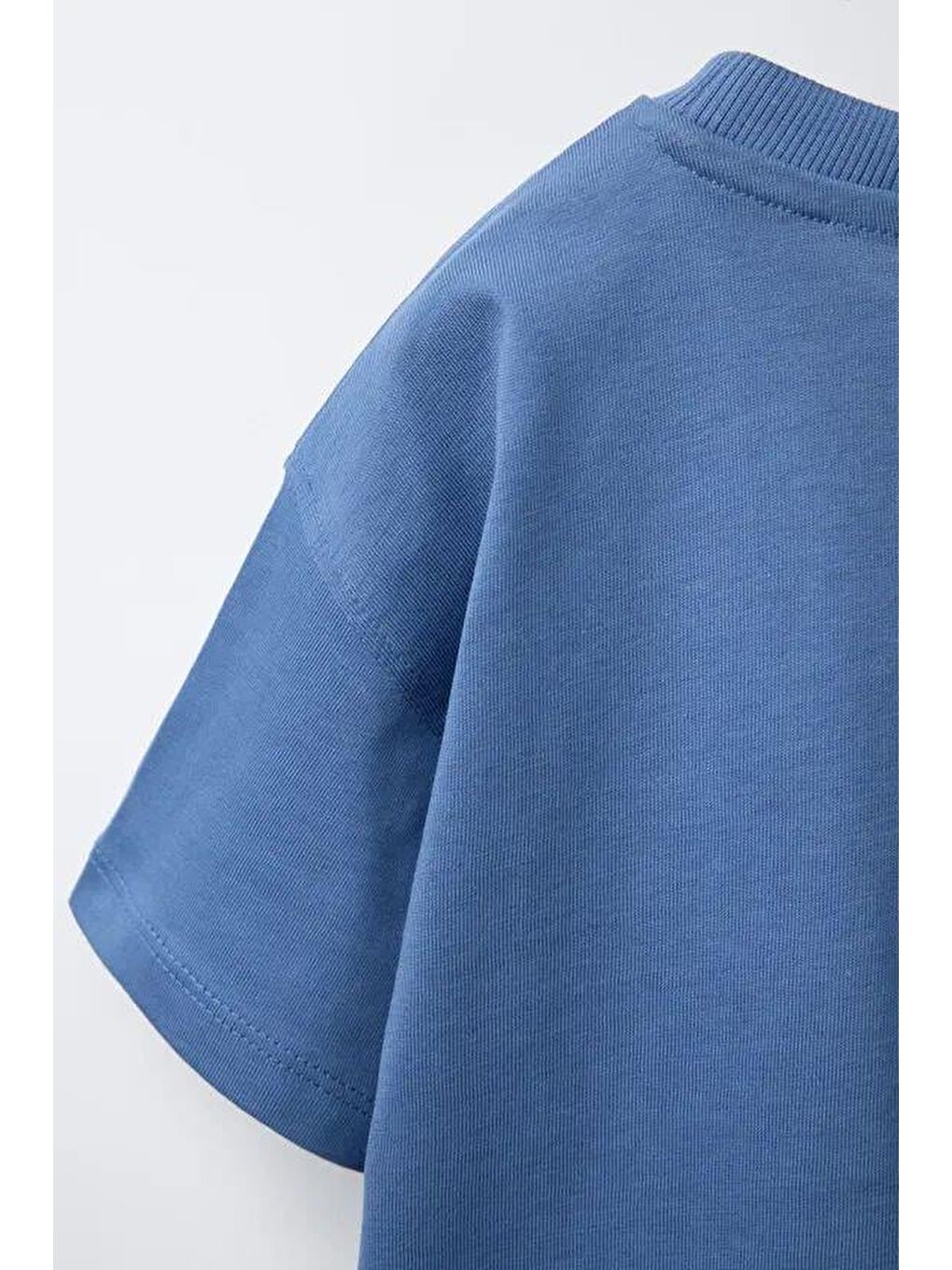 Karışık Erkek Çocuk Pamuklu Mavi Maymun Baskılı T-Shirt Ve Çizgili Eşofman Takım-4