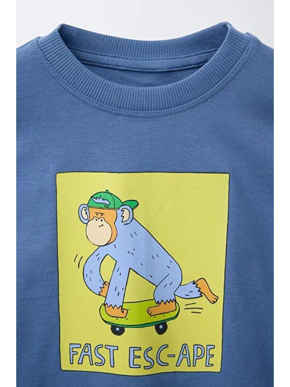 Karışık Erkek Çocuk Pamuklu Mavi Maymun Baskılı T-Shirt Ve Çizgili Eşofman Takım-5