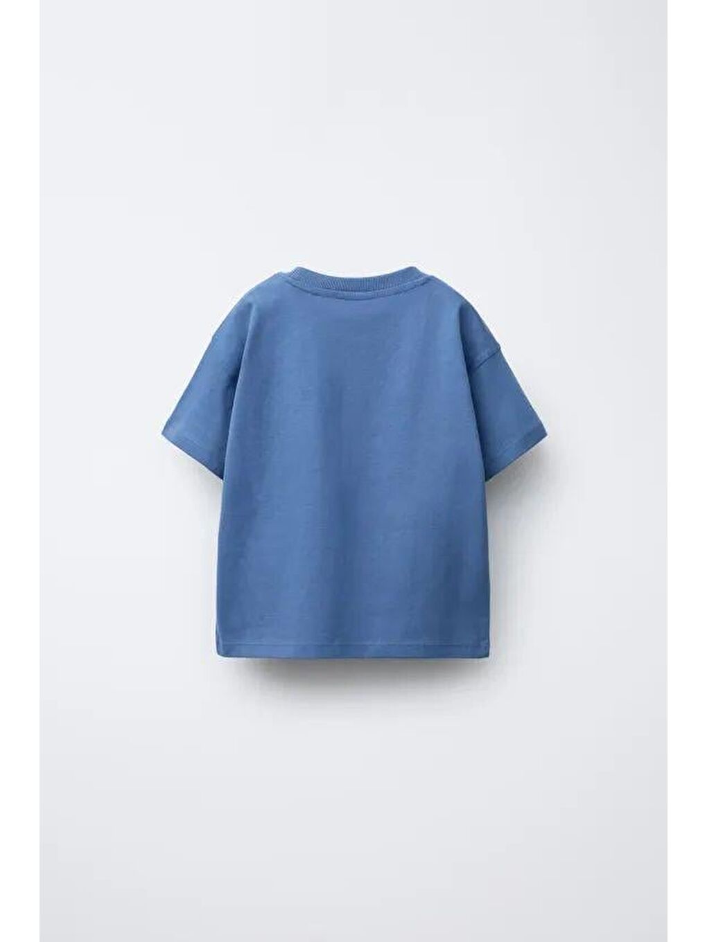 Karışık Erkek Çocuk Pamuklu Mavi Maymun Baskılı T-Shirt Ve Çizgili Eşofman Takım-6