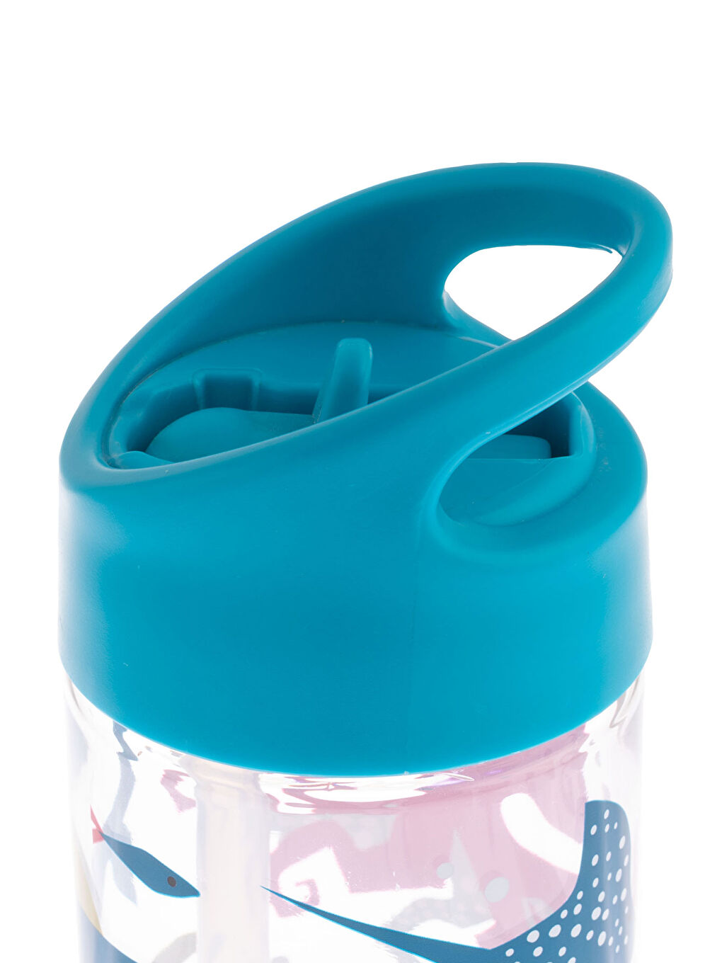 Pipetli Suluk Köpek Balığı-2