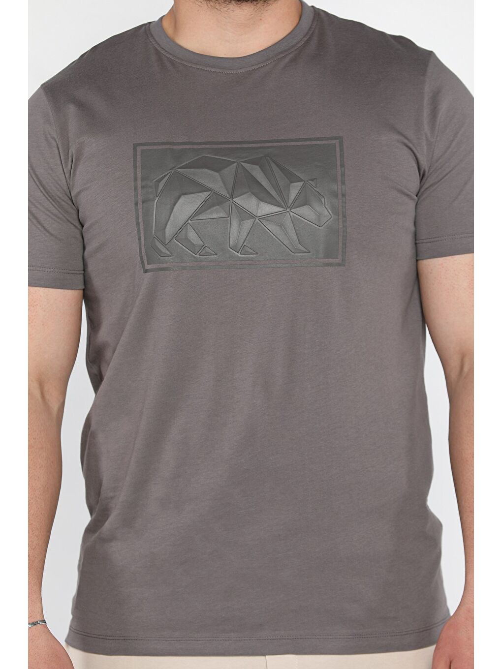 Gri Erkek Bisiklet Yaka Baskılı Tişört-3