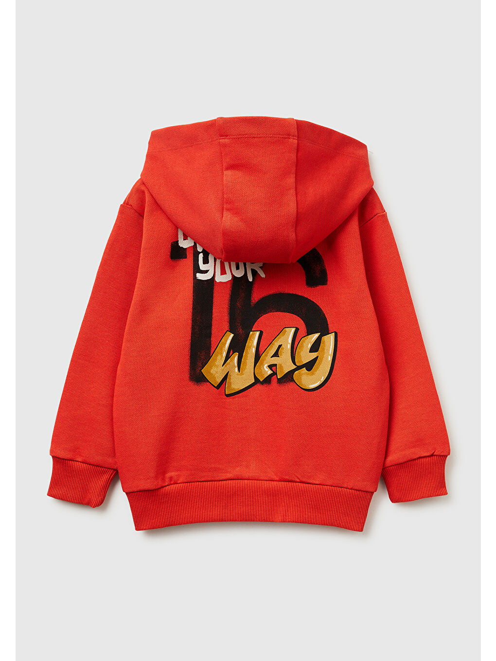 Erkek Çocuk Kırmızı Arkası Baskılı Fermuarlı Kapüşonlu Sweatshirt-1