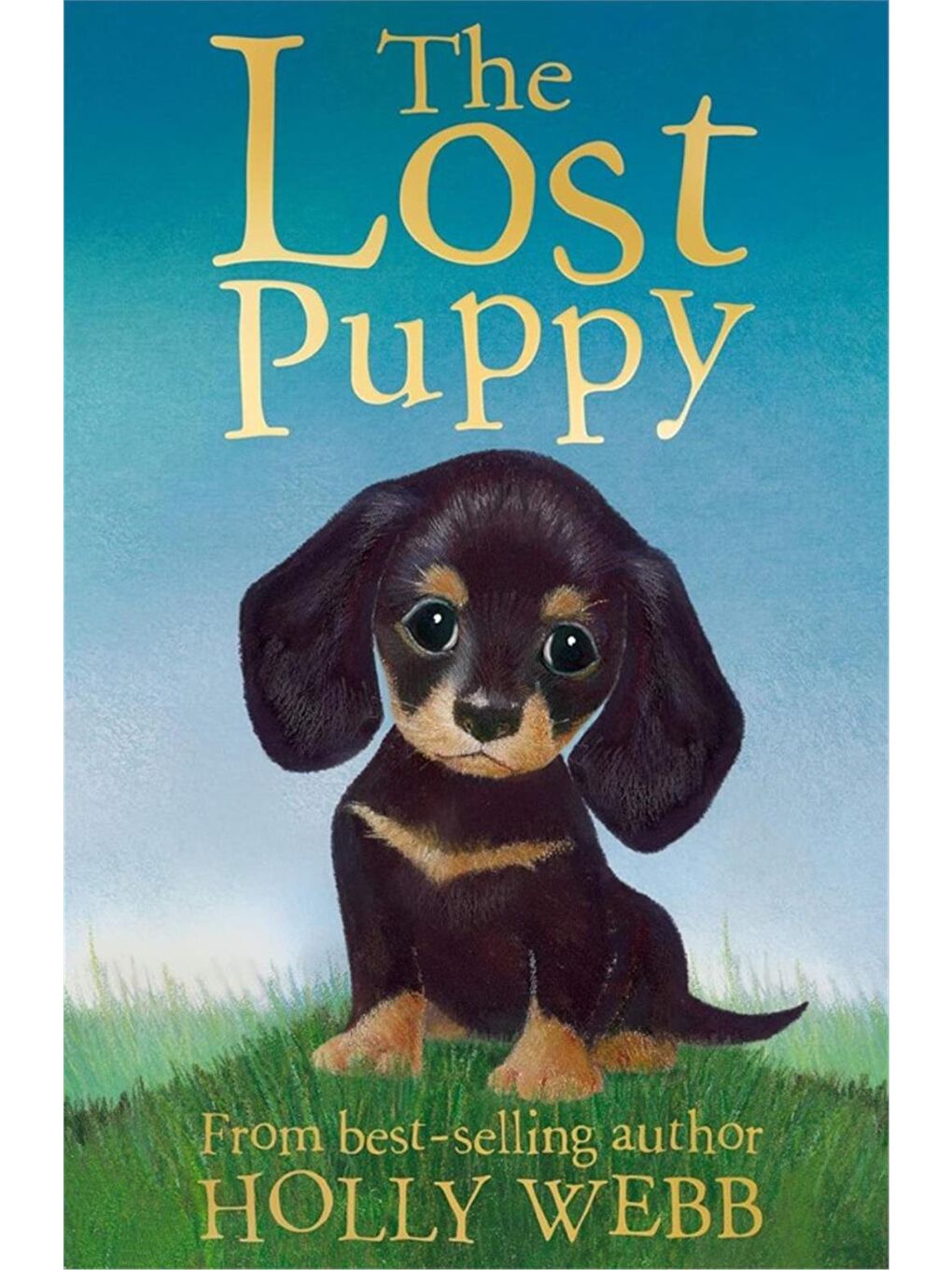 Holly Webb Animal Stories: The Lost Puppy