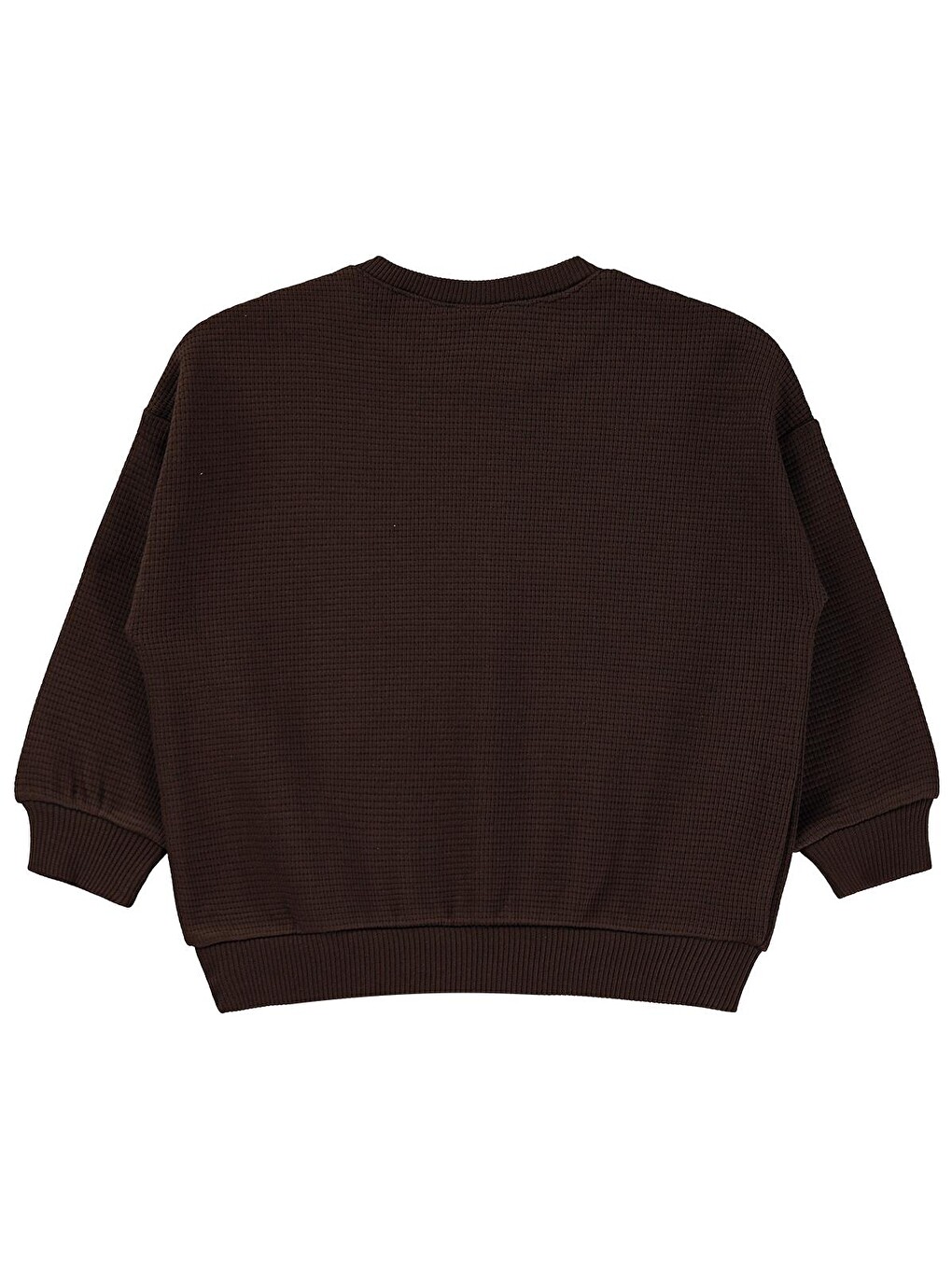 Baby Basic 6-18 Ay Sweatshirt - Kahverengi-1