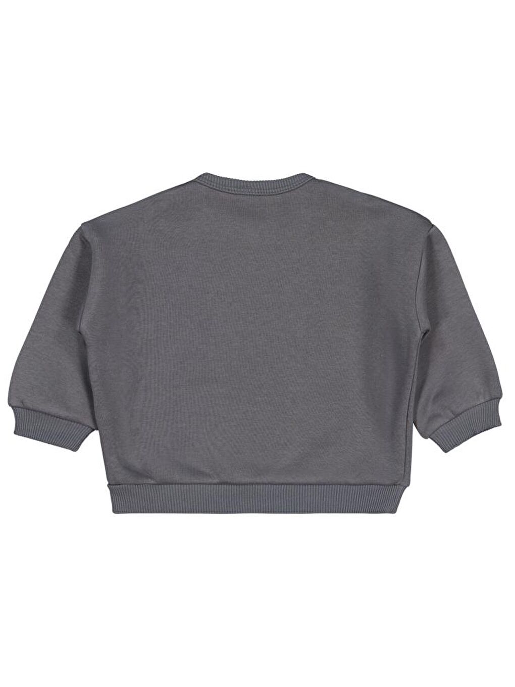 Gri Baby Basic 6-18 Ay Sweatshirt