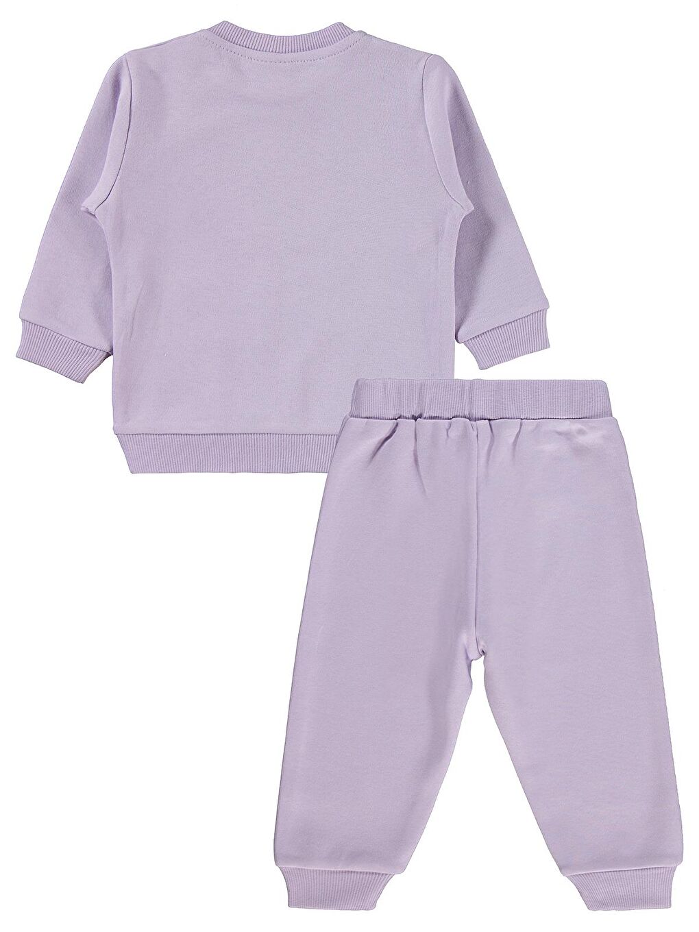 Baby Tavşan Baskılı 6-18 Ay Takım - Lila-2