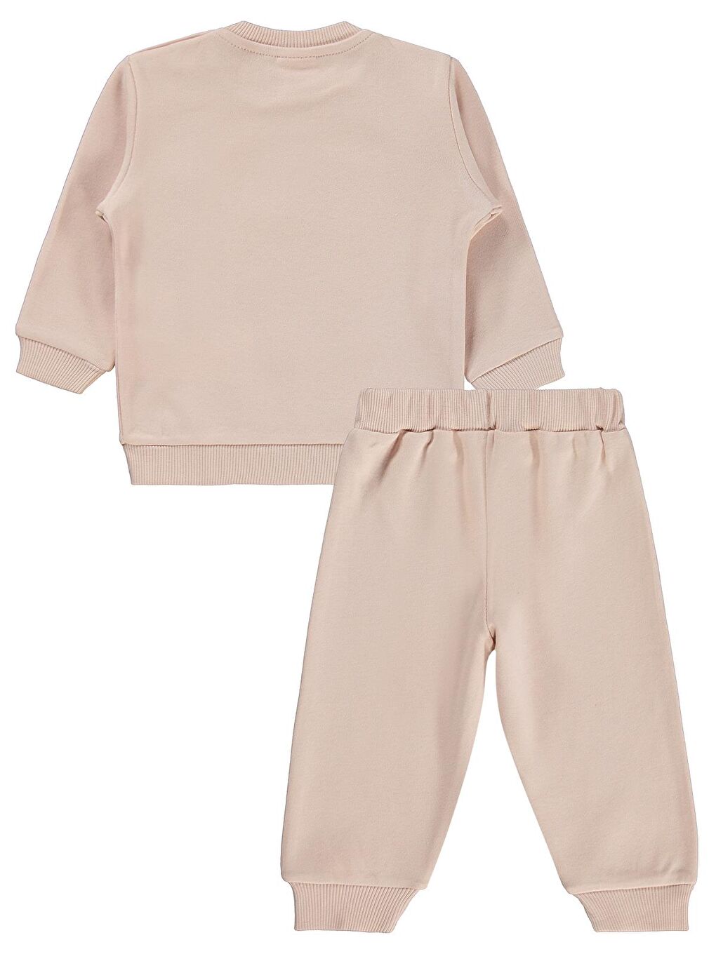 Pembe Baby Tavşan Baskılı 6-18 Ay Takım - Pudra-1