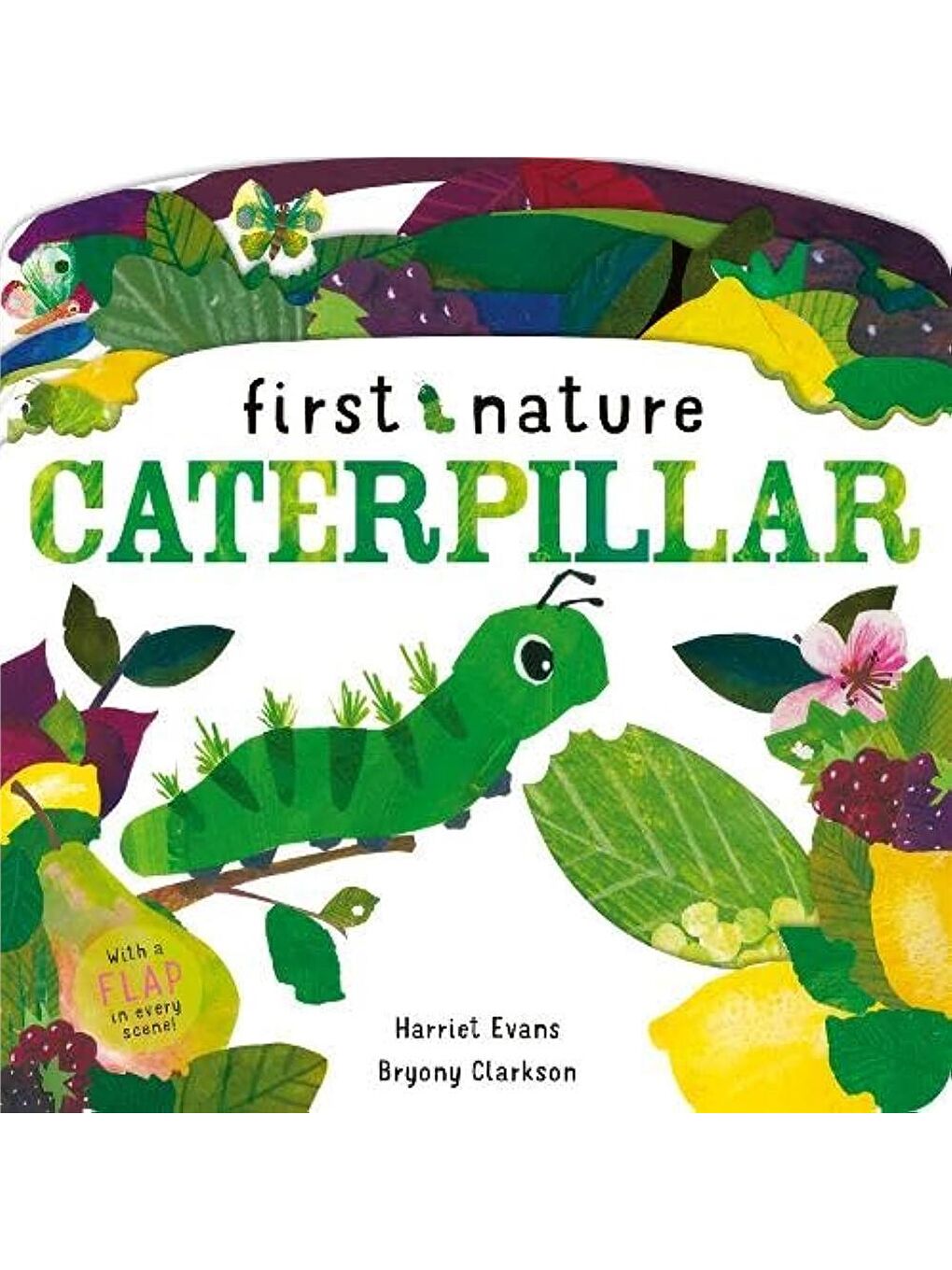 First Nature: Caterpillar