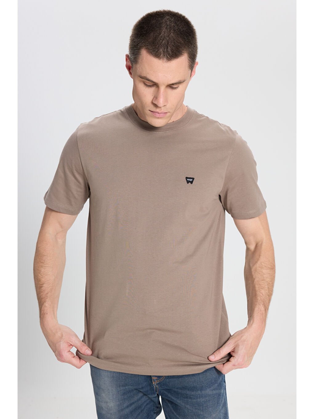 Bej Regular Fit Normal Kesim Bisiklet Yaka %100 Pamuk Vizon Tişört-1