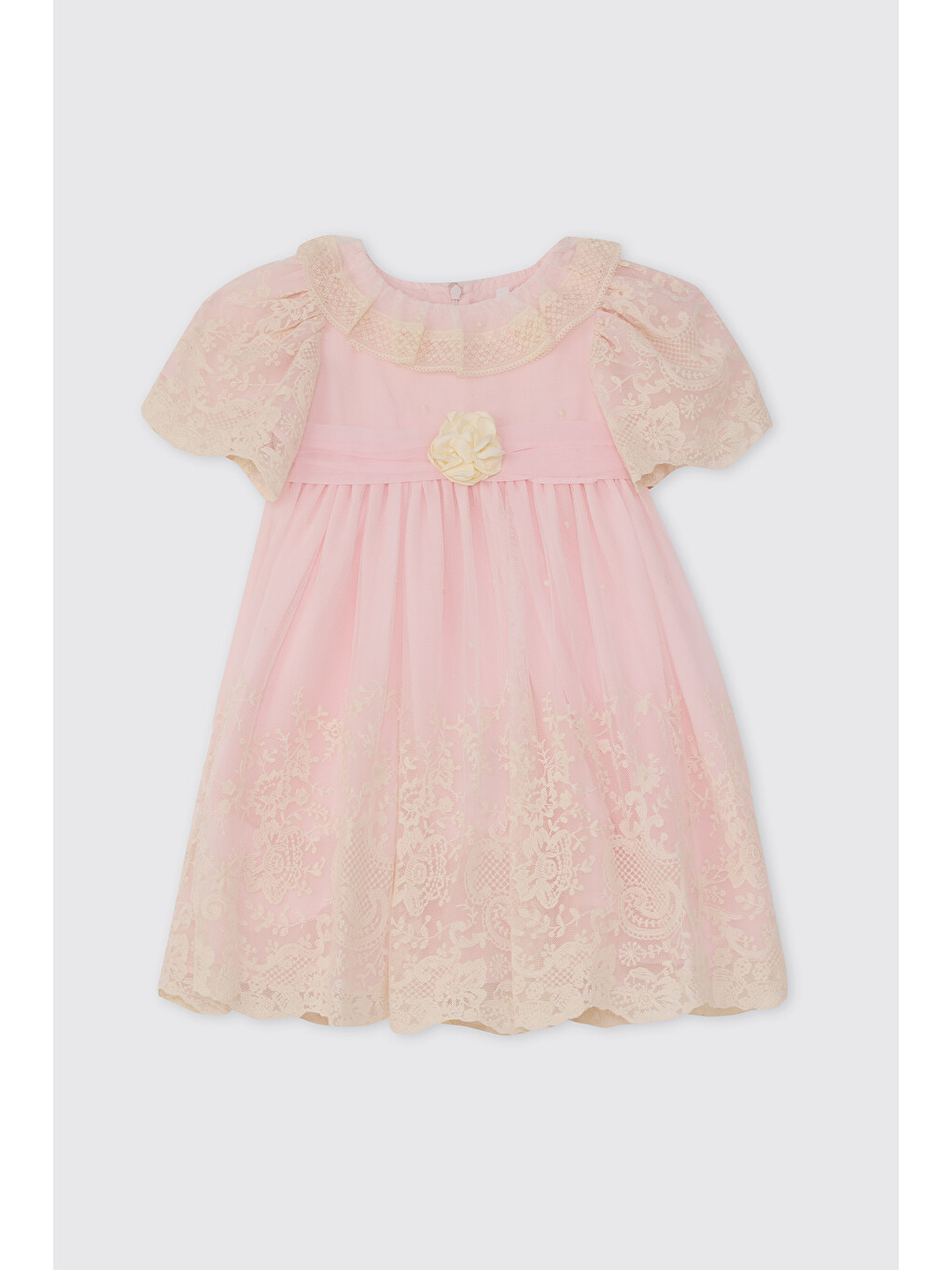 Kız Bebek İşlemeli Gül Detaylı Pembe Elbise