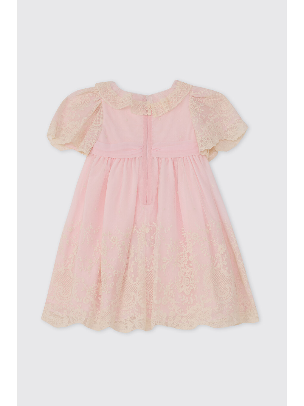 Kız Bebek İşlemeli Gül Detaylı Pembe Elbise-1