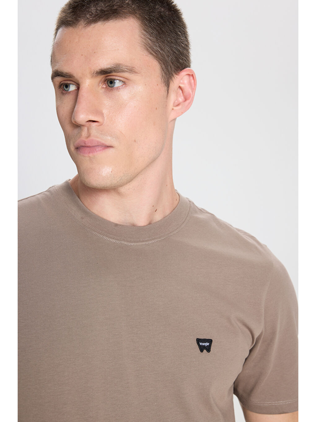 Bej Regular Fit Normal Kesim Bisiklet Yaka %100 Pamuk Vizon Tişört-3