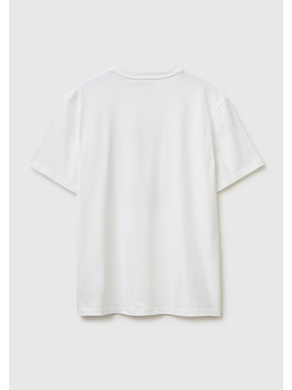 Erkek Beyaz  %100 Pamuk Regular Fit Grafik Baskılı T-Shirt-1
