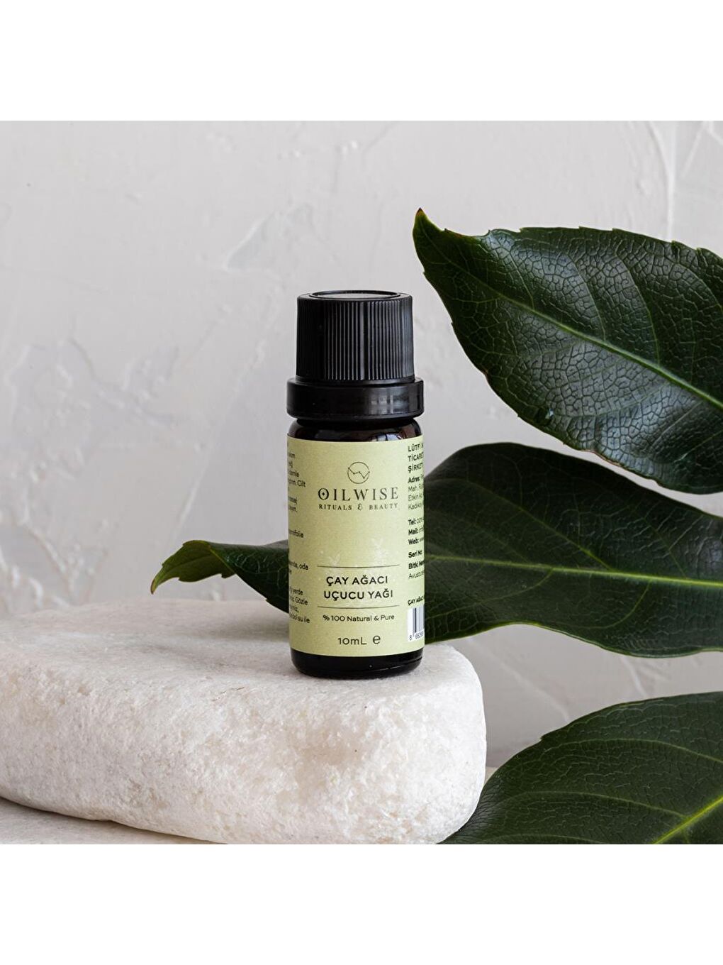 Oilwise Temizleyici ve Yenileyici Çay Ağacı Uçucu Yağı 10 ml - 1