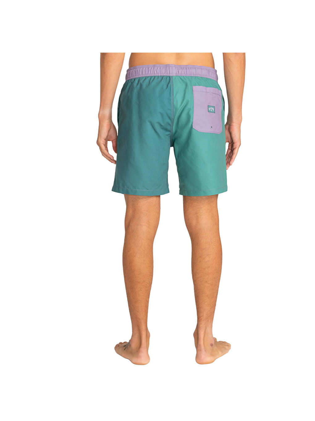 Karışık All Day Interchange Lb Erkek Volley Short-3