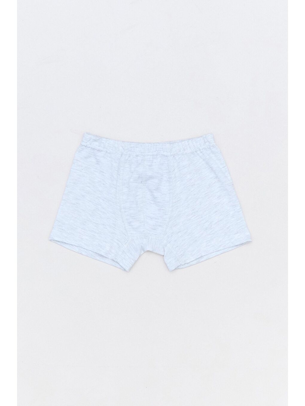 Mavi Dinozor Baskılı Erkek Çocuk 3 Lü Boxer-1