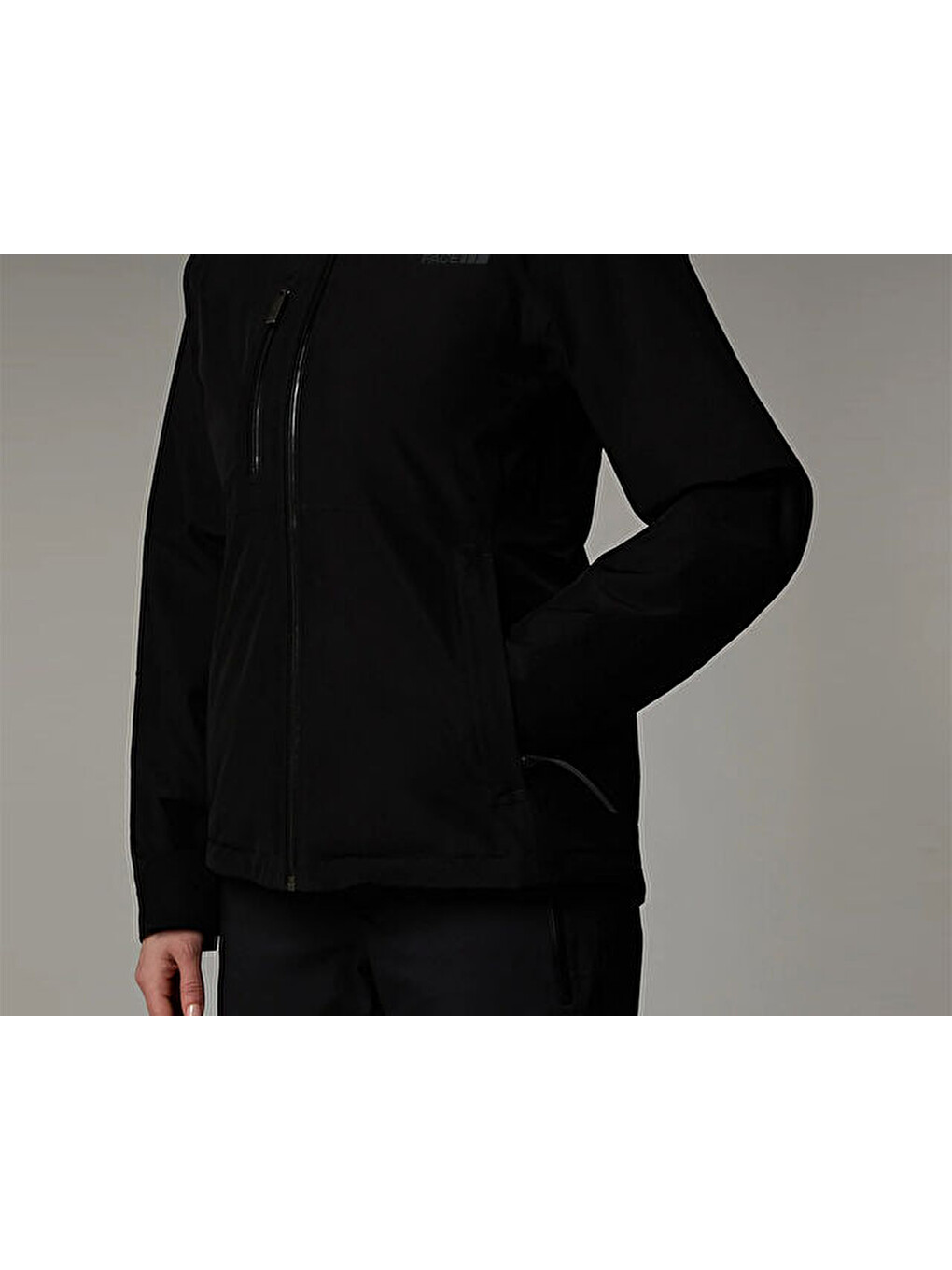 W Descendit Jacket Kadın Outdoor Ceketi Nf0a87xfjk31 Siyah-1
