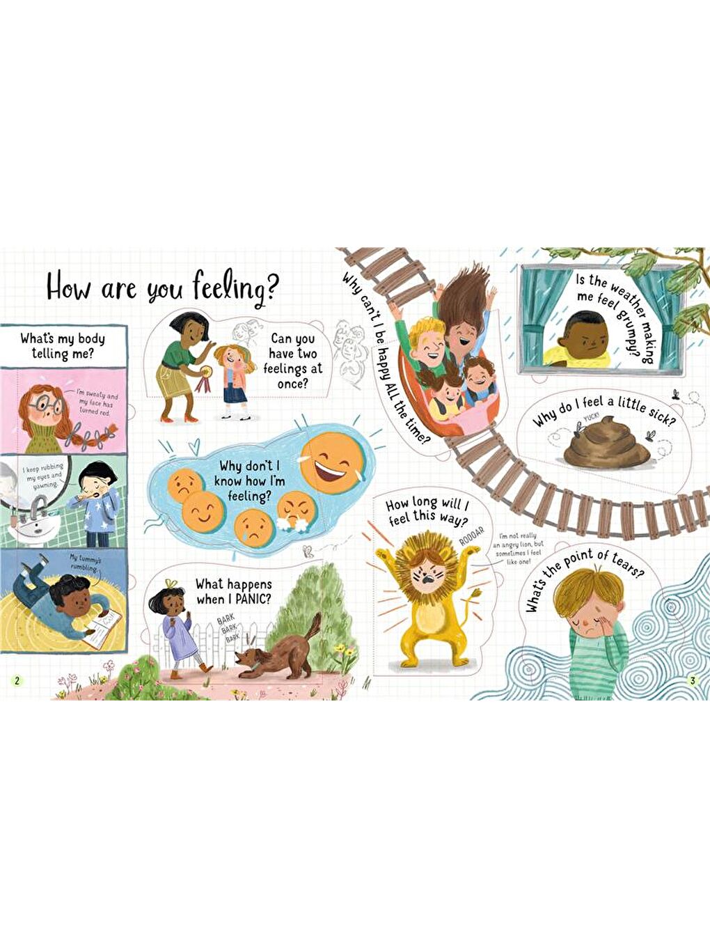 Usborne Lift-the-Flap Questions and Answers About Feelings - 1