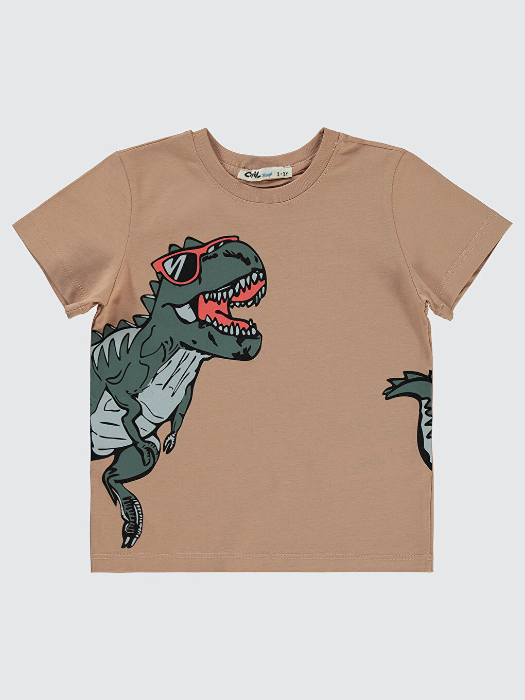 Bej Boys Erkek Çocuk Tişört 2-5 Yaş Vizon