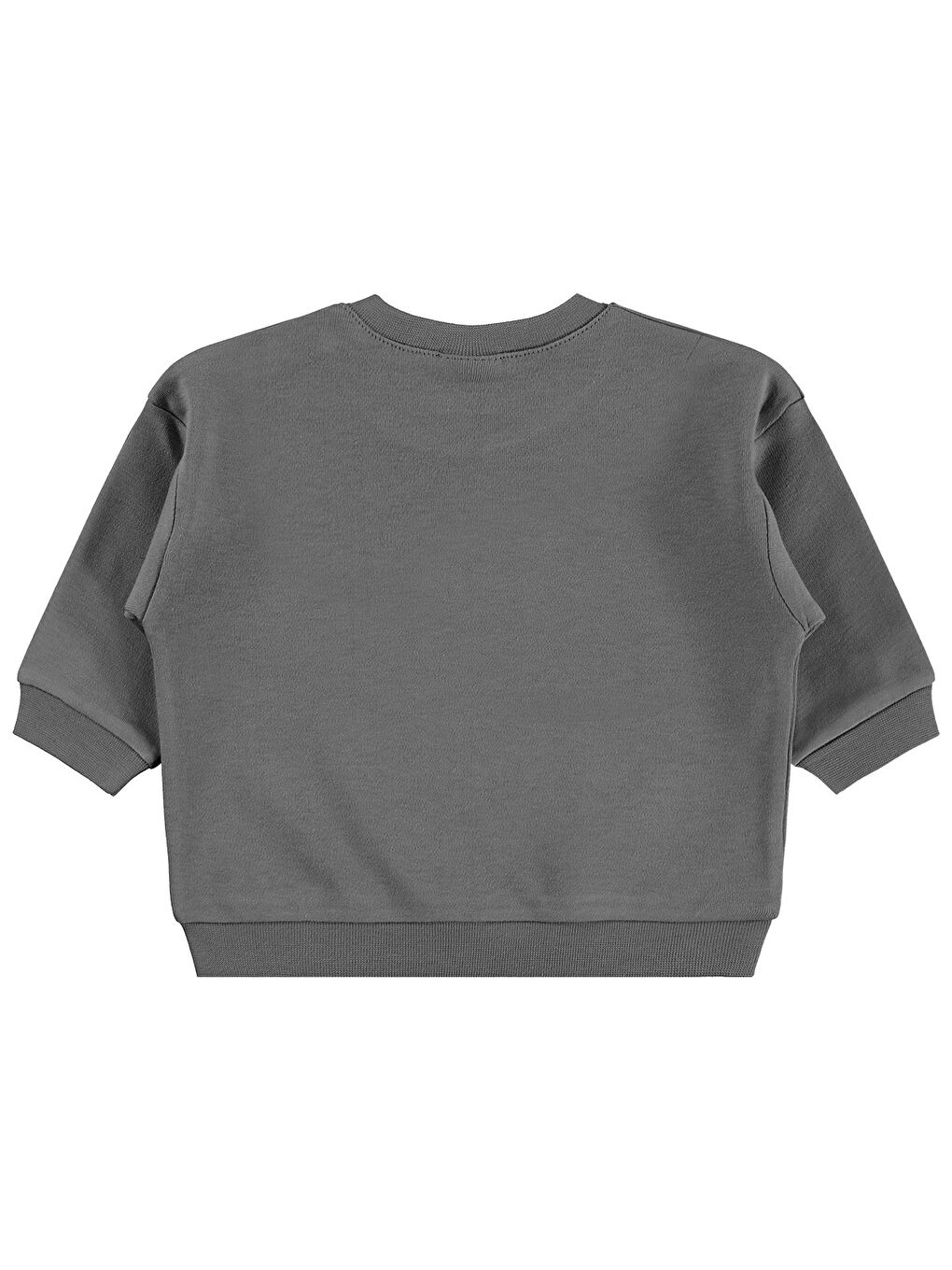 Antrasit Baby Basic 3-18 Ay Sweatshirt - Gri-1