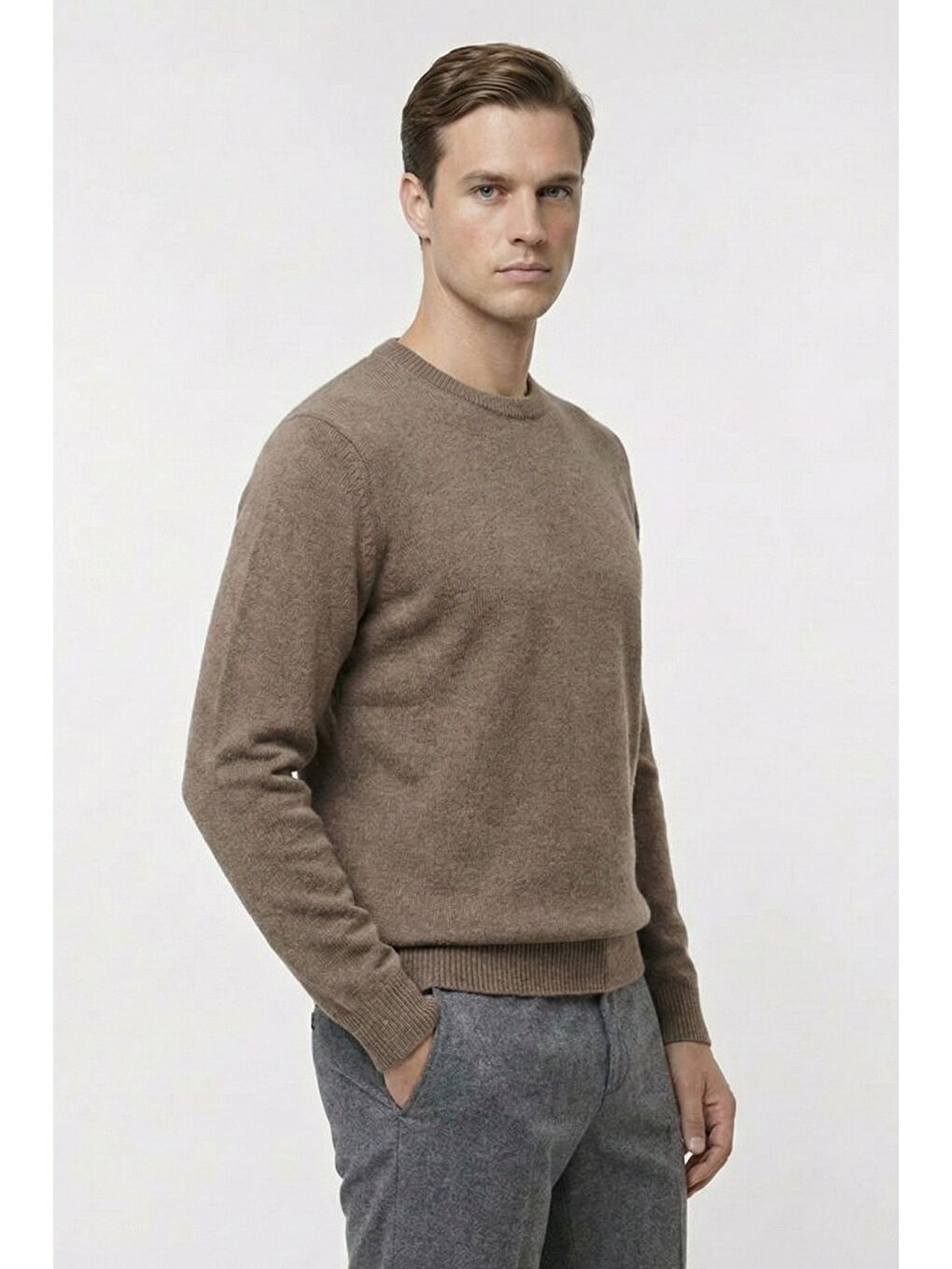 Bej Vizon Standart Fit Yün Karışımlı Bisiklet Yaka Düz Erkek Triko Kazak-2