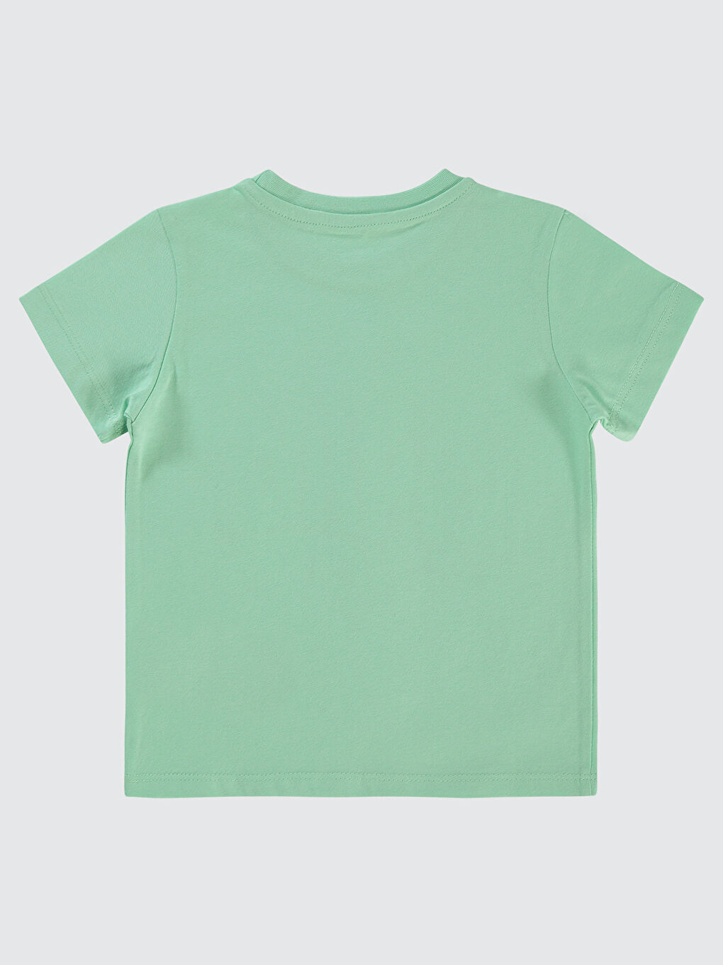 Turkuaz Boys Erkek Çocuk Tişört 2-5 Yaş Su Yeşili-1