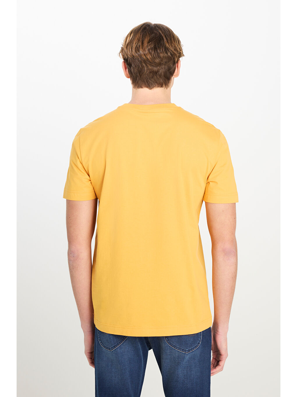 Regular Fit Normal Kesim Bisiklet Yaka Sarı Tişört-4