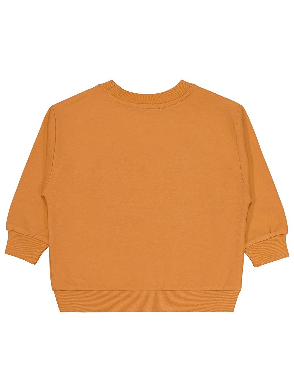 Boys Cvl Team Etiketli 2-5 Yaş Sweatshirt - Turuncu 2-3 Yaş-1