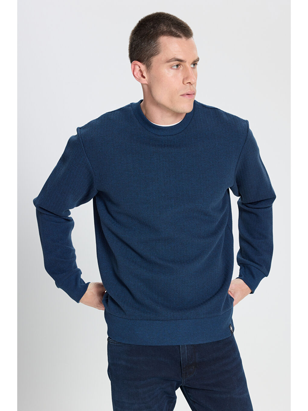 Regular Fit Normal Kesim Bisiklet Yaka Lacivert Sweatshirt-2