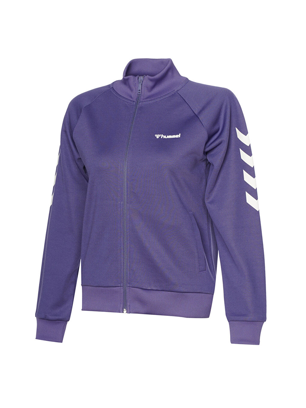 Genesa Kadın Mor Dik Yaka Ceket