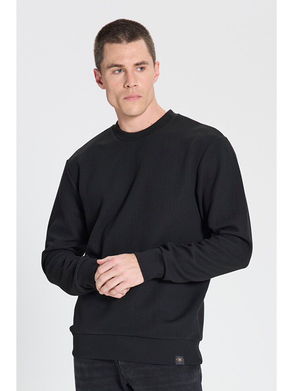 Regular Fit Normal Kesim Bisiklet Yaka Siyah Sweatshirt-1