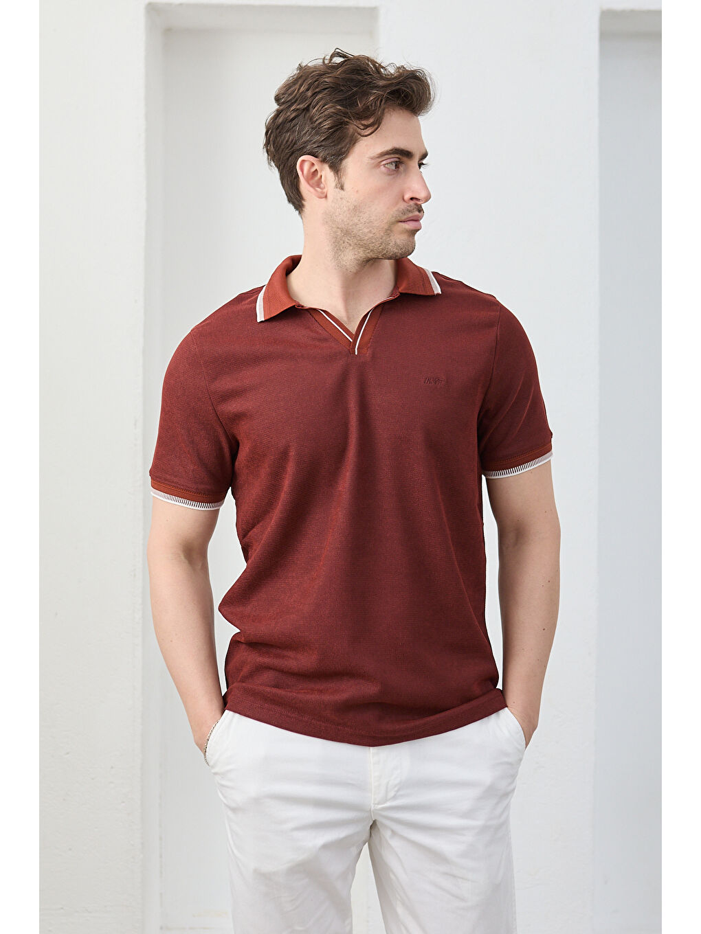 Kahverengi Lodz Erkek Polo Yaka Tişört Çekmeyen Pamuklu Kumaş Regular Fit Günlük-1