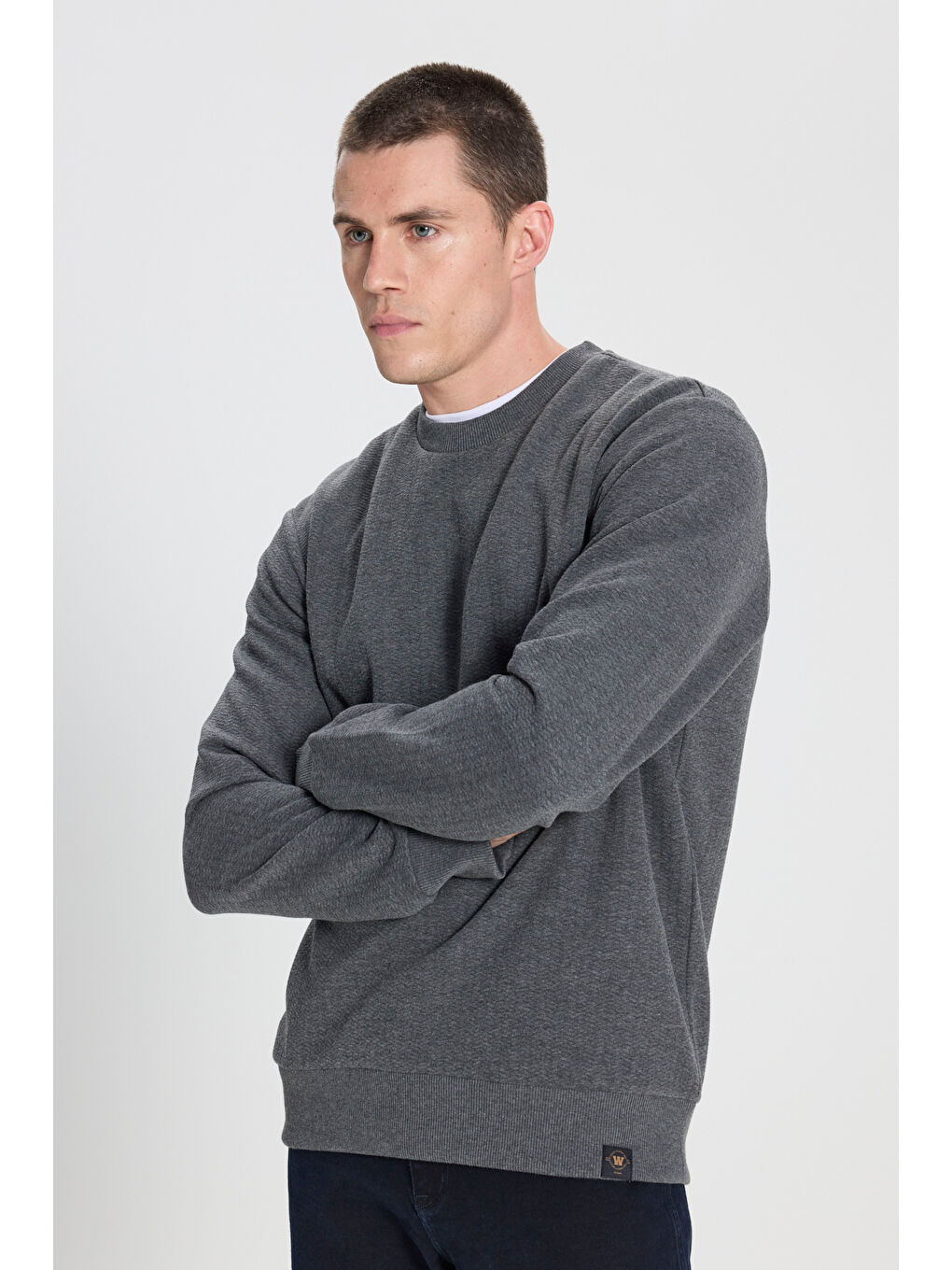 Regular Fit Normal Kesim Bisiklet Yaka Antrasit Sweatshirt-1