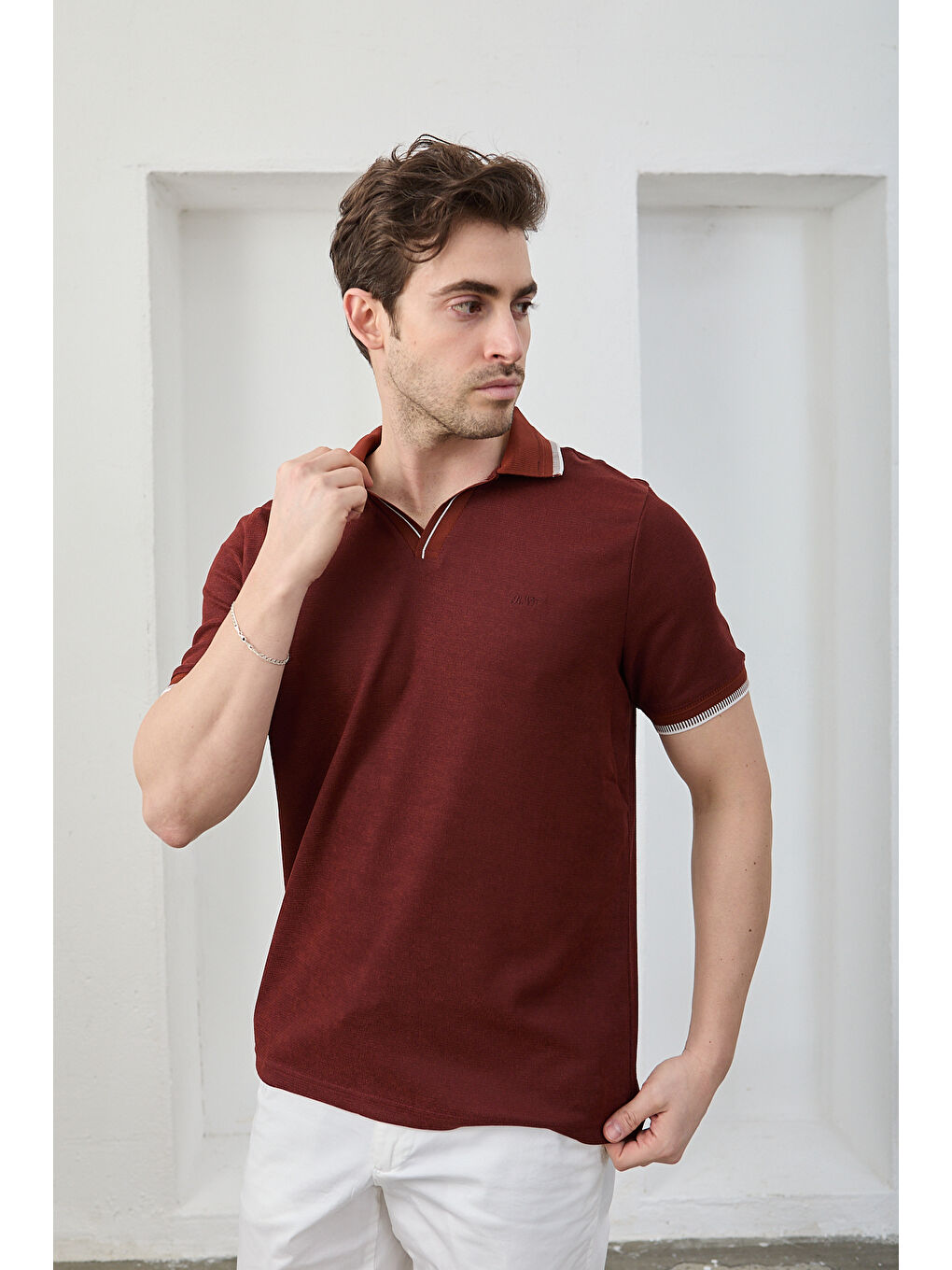 Kahverengi Lodz Erkek Polo Yaka Tişört Çekmeyen Pamuklu Kumaş Regular Fit Günlük-3