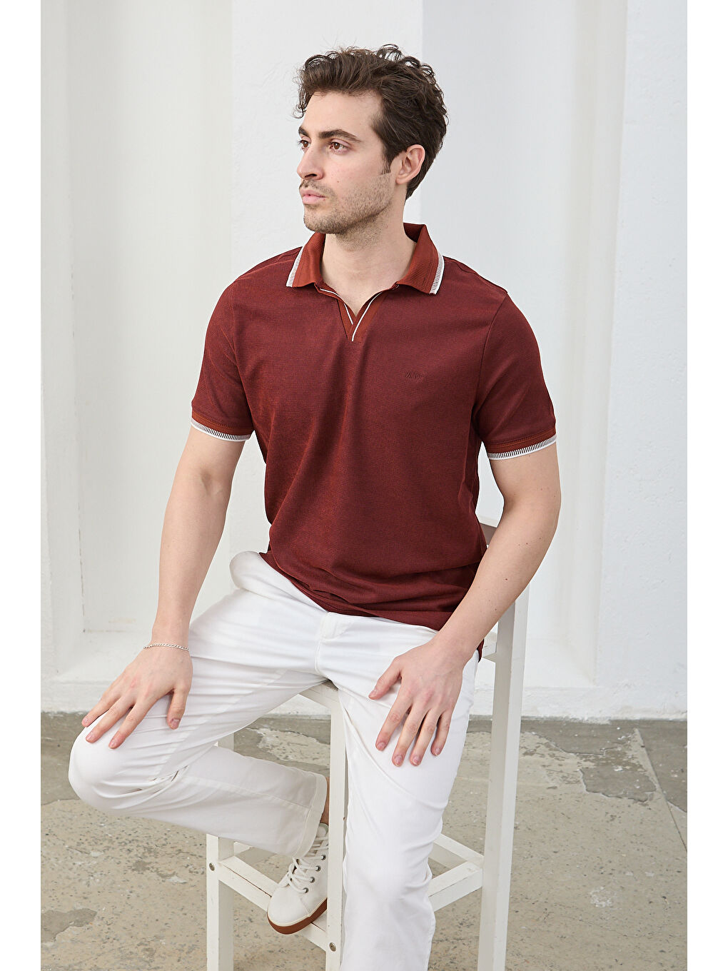 Kahverengi Lodz Erkek Polo Yaka Tişört Çekmeyen Pamuklu Kumaş Regular Fit Günlük-5