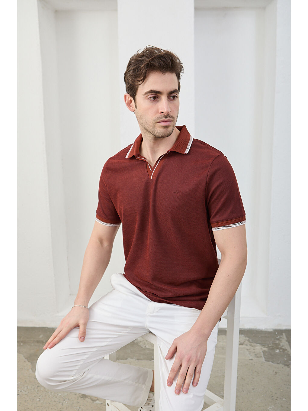 Kahverengi Lodz Erkek Polo Yaka Tişört Çekmeyen Pamuklu Kumaş Regular Fit Günlük-6