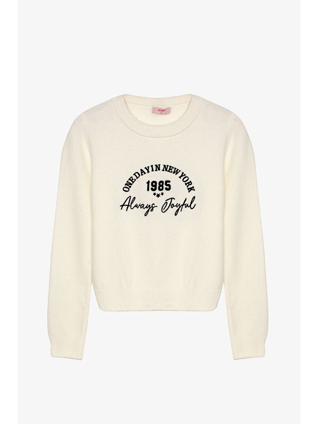 Yazı Nakışlı Bisiklet Yaka Triko Kazak Ekru-1