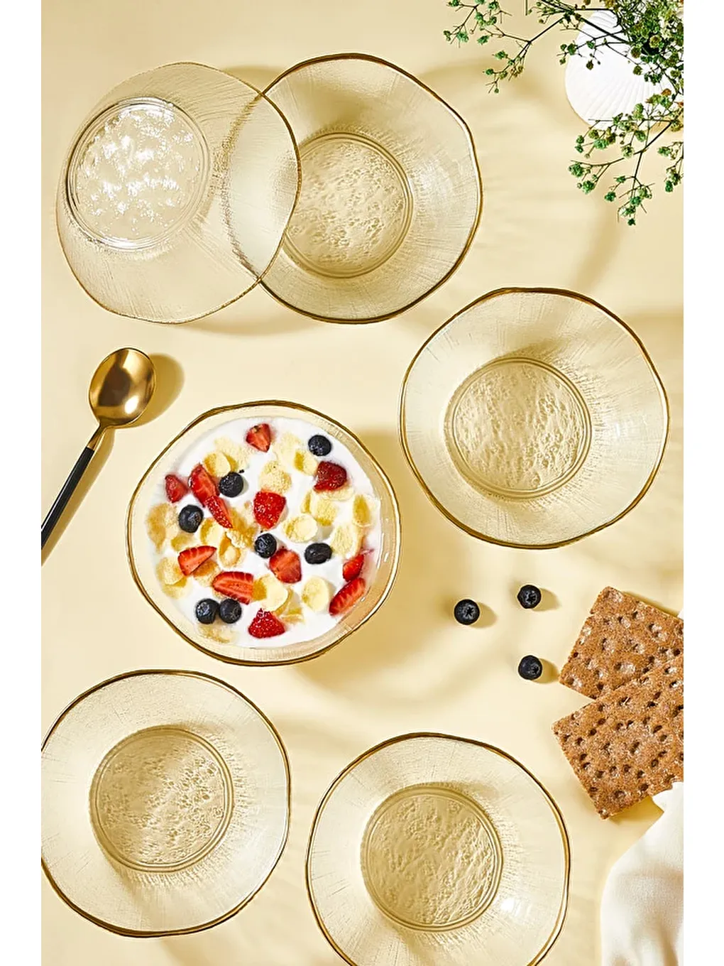 Renksiz Ekol 6 Parça Kase Seti-2