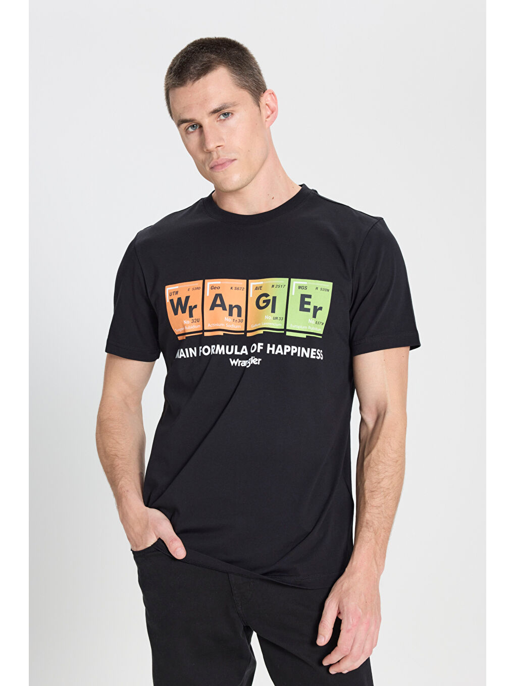 Regular Fit Normal Kesim Bisiklet Yaka Siyah Tişört-1