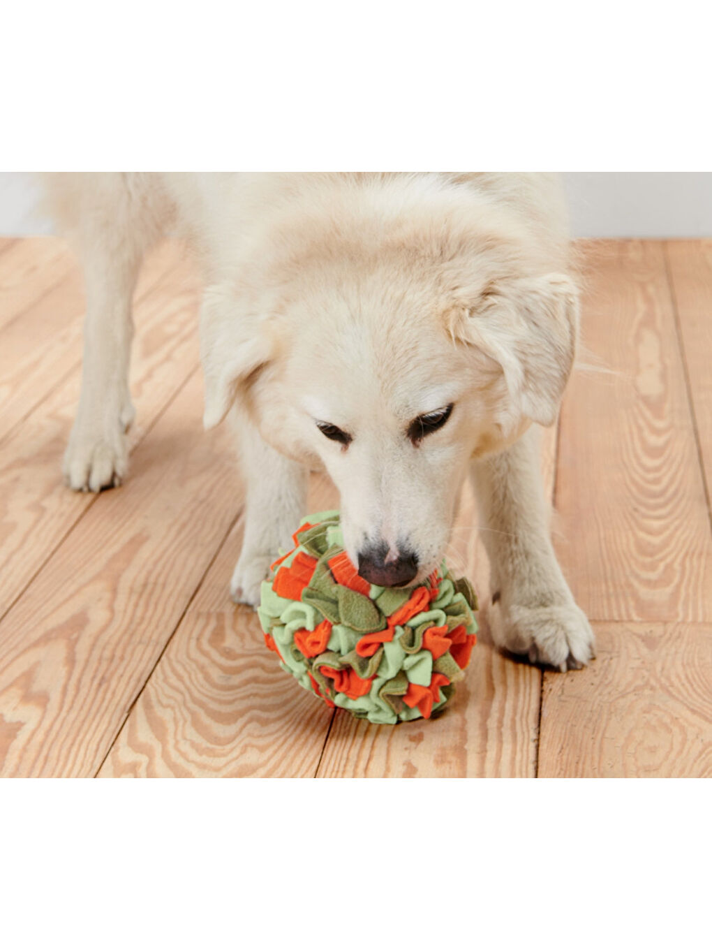 Köpekler İçin Koklama Topu, Geri Dön. PES-1