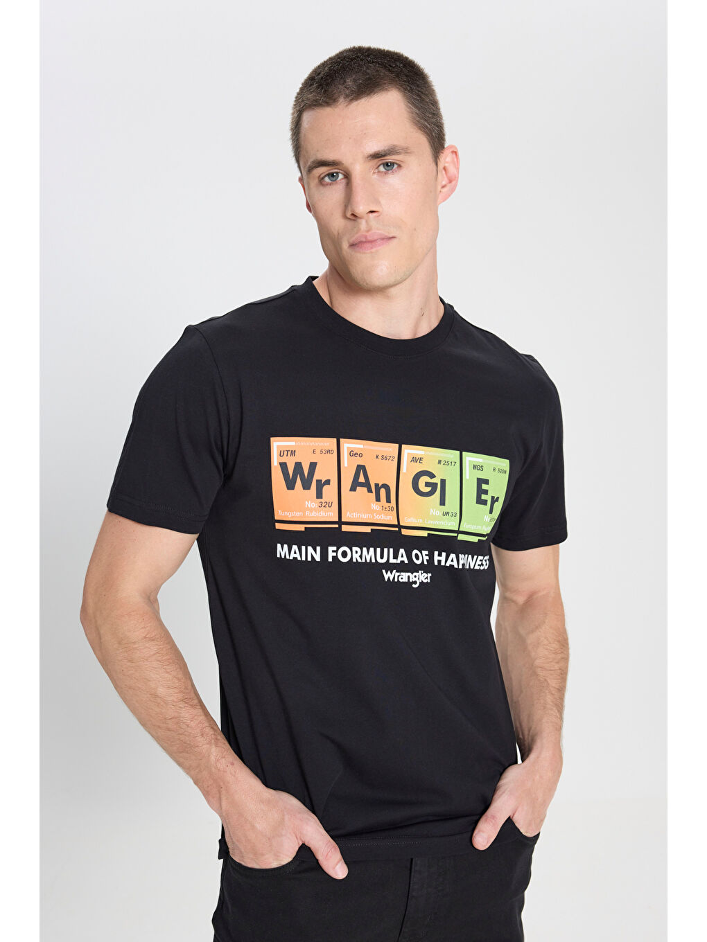 Regular Fit Normal Kesim Bisiklet Yaka Siyah Tişört-2