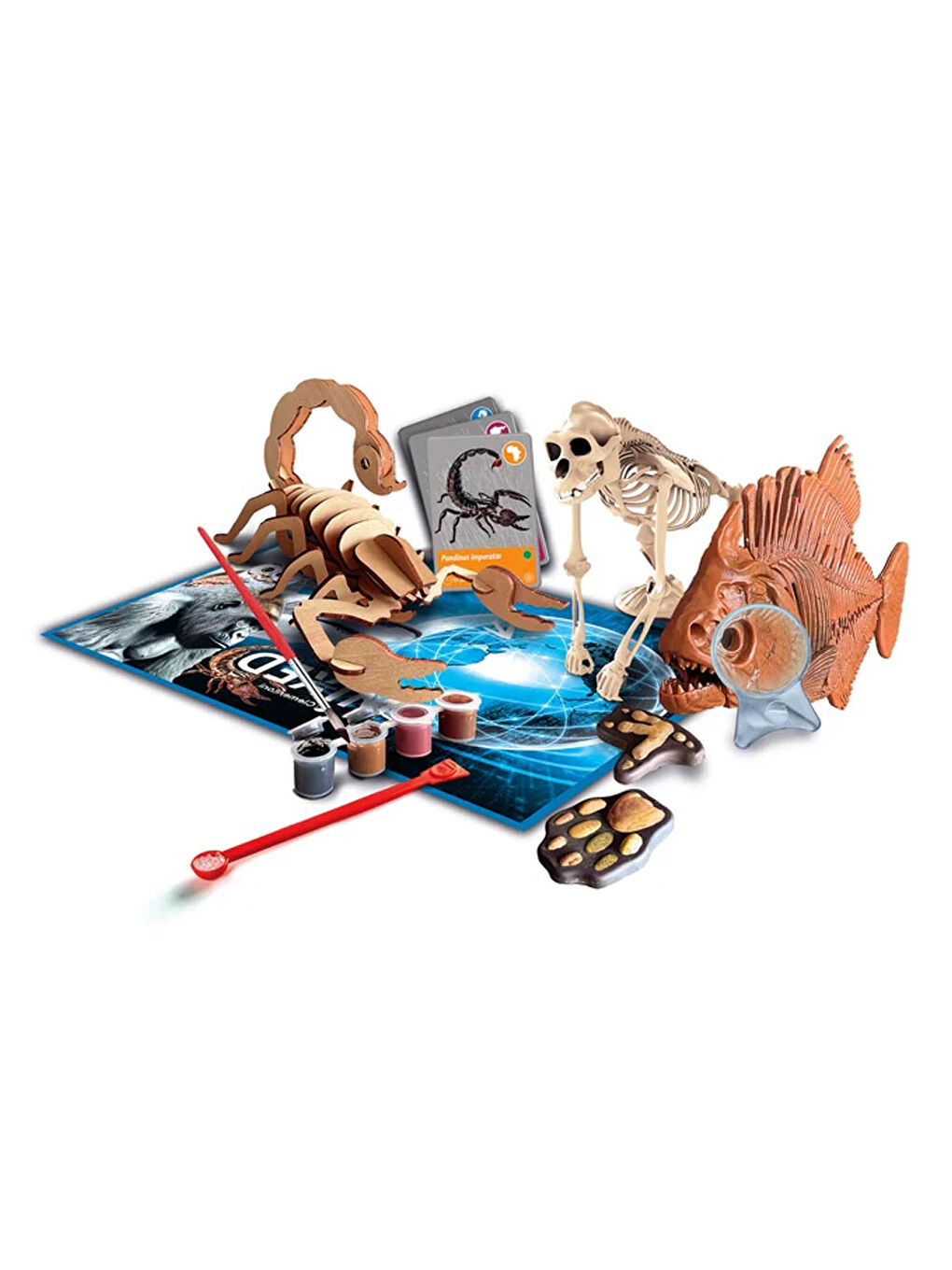 Bilim Ve Oyun Dünyadaki Hayvanların Tarihi 64093-1