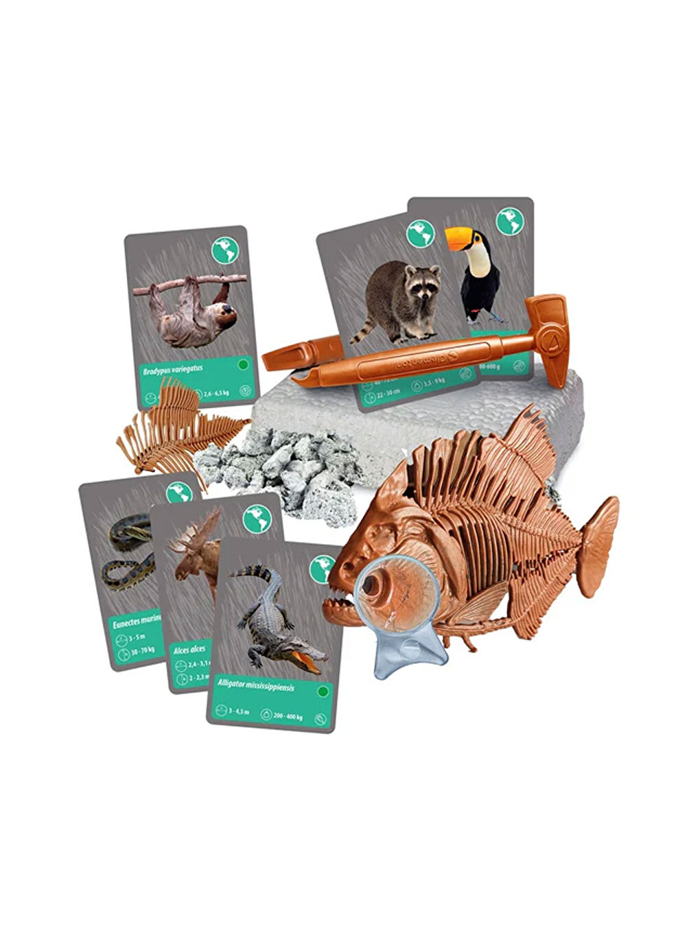 Bilim Ve Oyun Dünyadaki Hayvanların Tarihi 64093-2