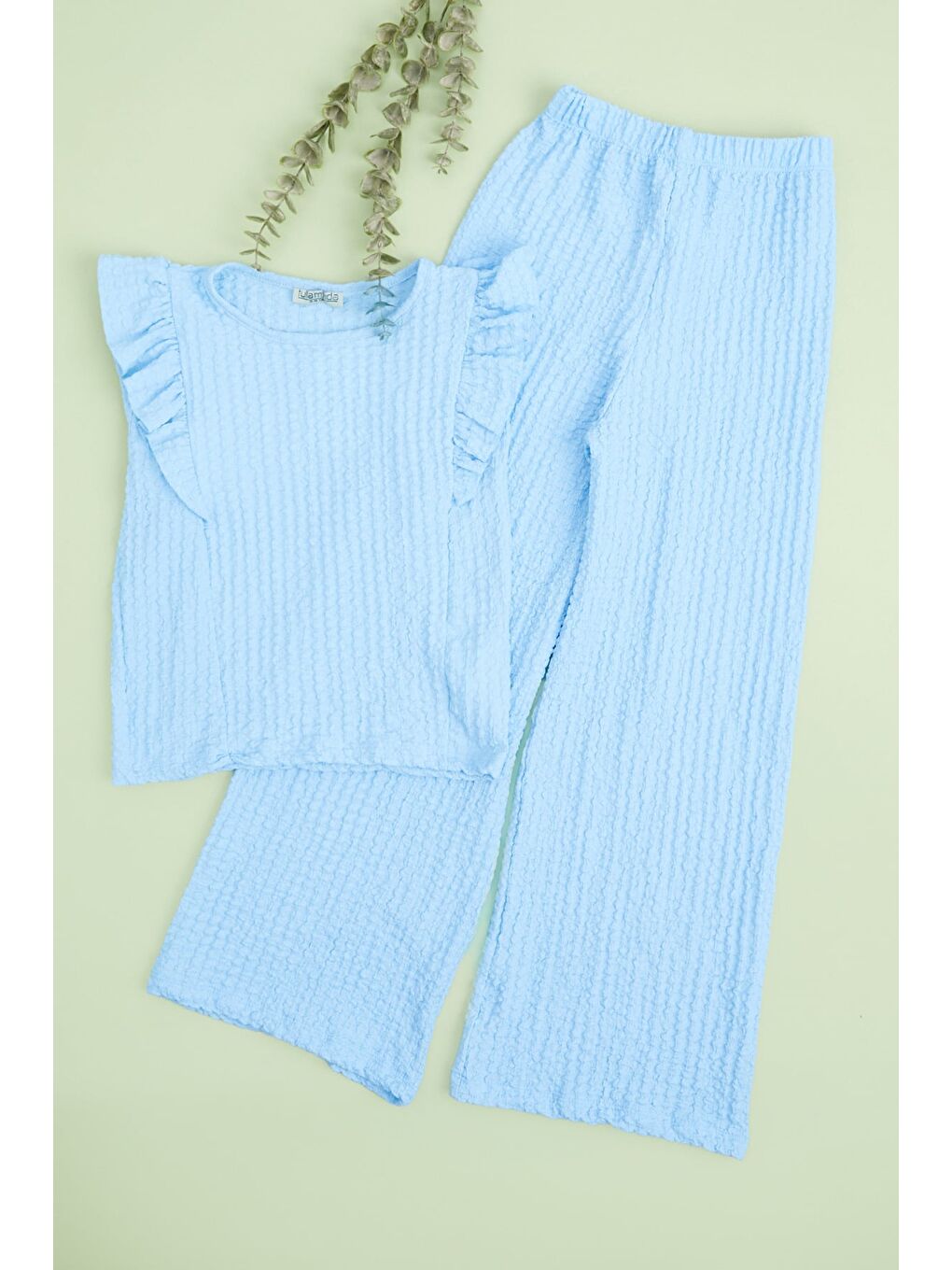 Mavi Kolu Fırfırlı Dokulu Kız Çocuk 2 Li Takım-2
