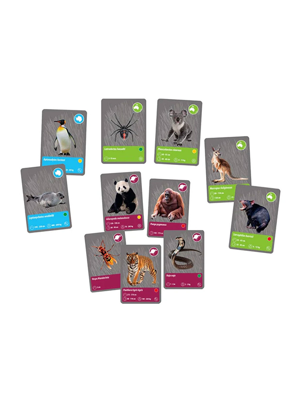 Bilim Ve Oyun Dünyadaki Hayvanların Tarihi 64093-3