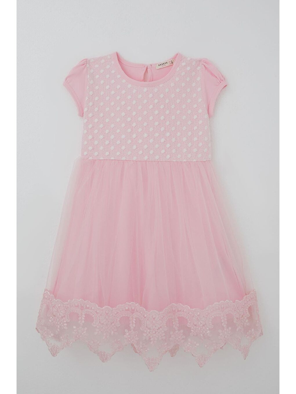 Kız Çocuk Elbise Vintage Dantel Detaylı Tüllü Çiçek Desenli  Pembe (4-9 Yaş)