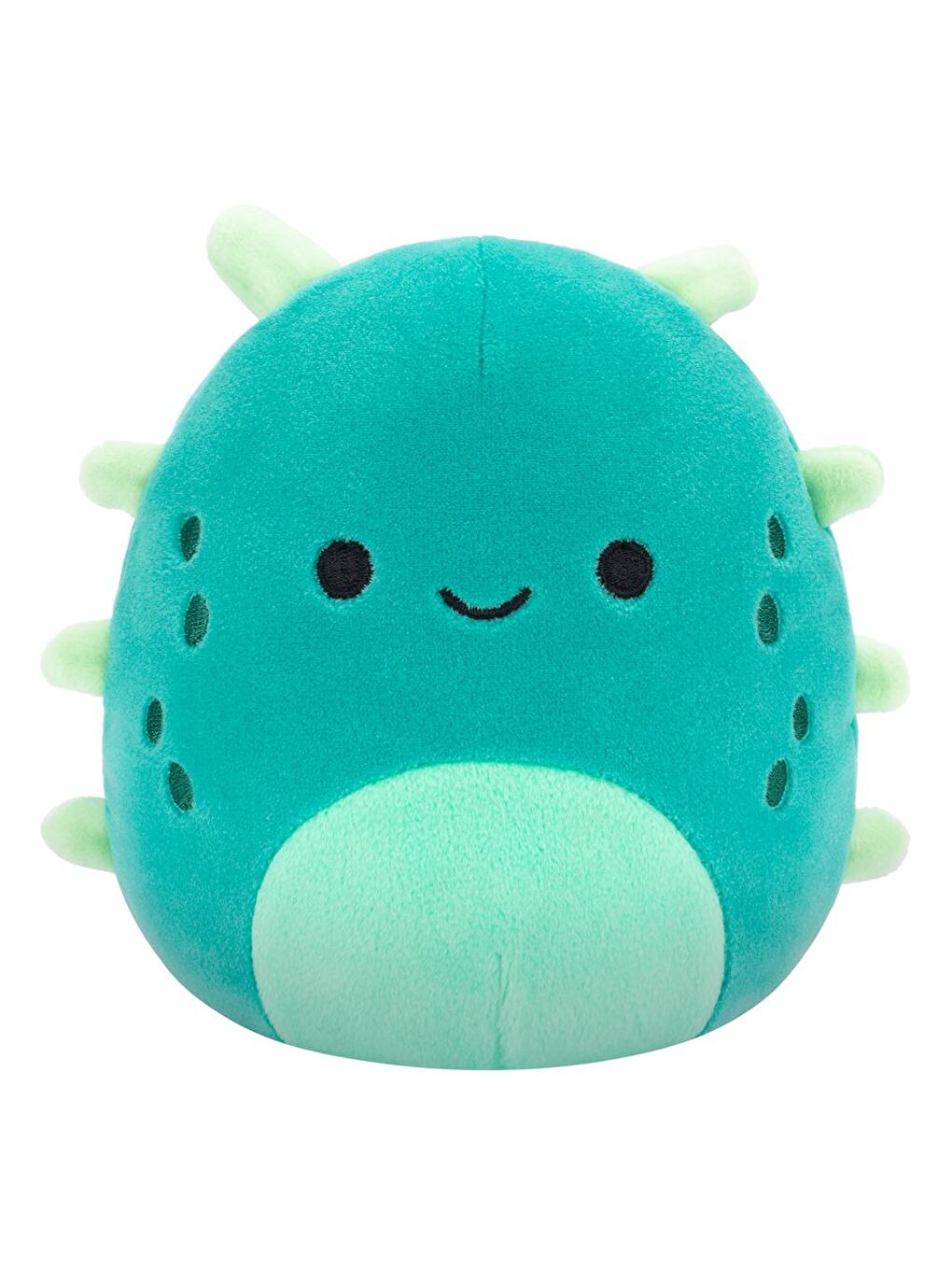 Deniz Hıyarı Wasabi 13cm SQCR06667