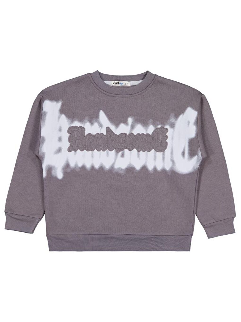 Gri Boys Banosome Baskılı 6-9 Yaş Sweatshirt